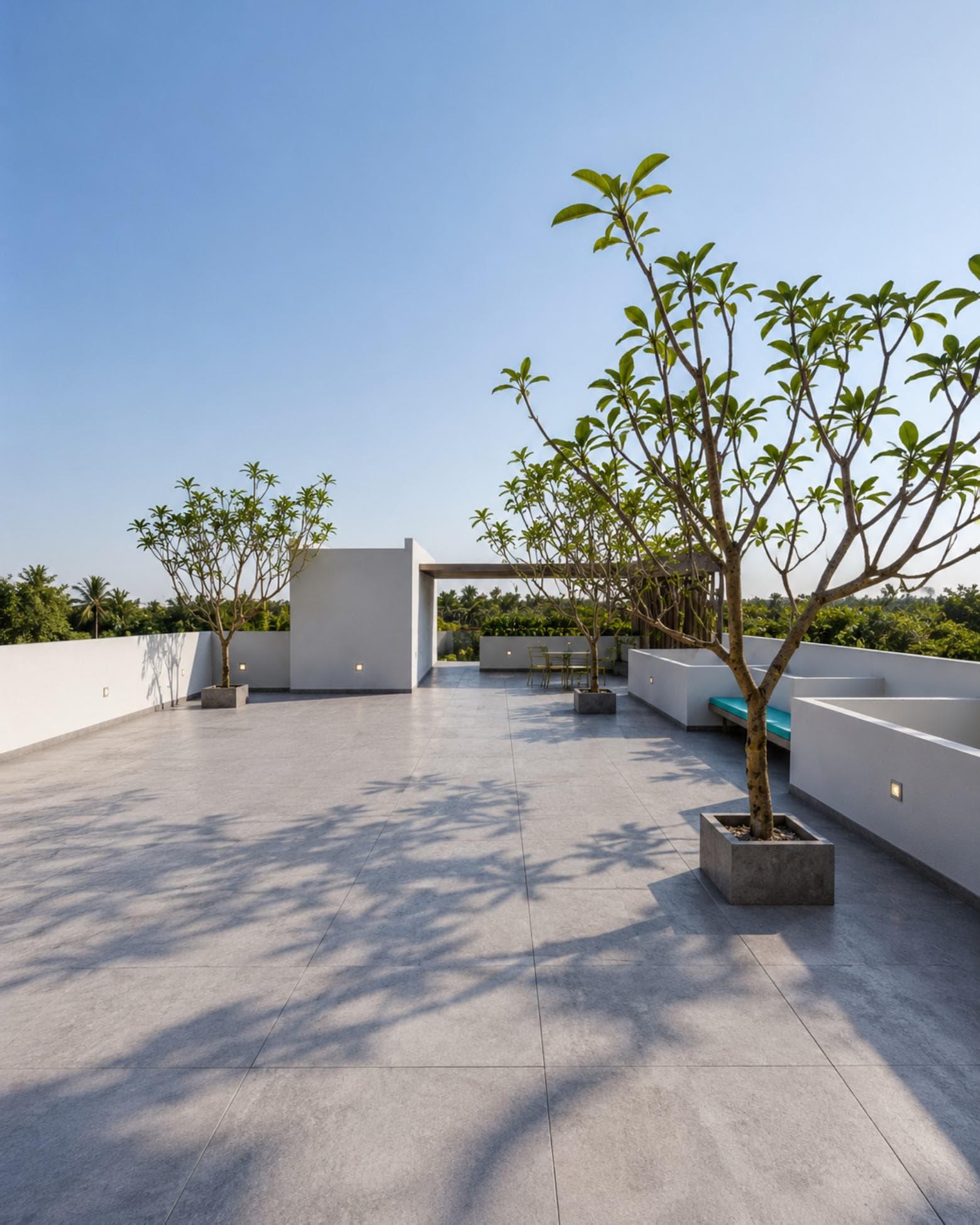 No. 5, Bovita Place, Dehiwala-Mount Lavinia — open roof terrace with frangipani trees and treetop views